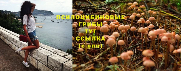 гидропоника Баксан