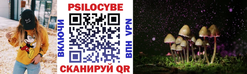 Псилоцибиновые грибы прущие грибы  как найти наркотики  ОМГ ОМГ   Бирюсинск 